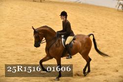 25R1516_01606 thumbnail