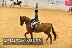 25R1516_01608 thumbnail