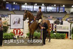25R1516_01609 thumbnail