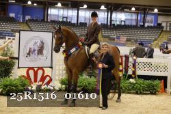 25R1516_01610 thumbnail