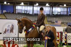 25R1516_01612 thumbnail