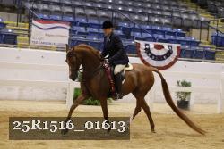 25R1516_01613 thumbnail