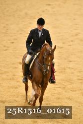 25R1516_01615 thumbnail