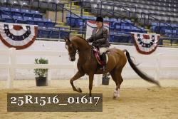 25R1516_01617 thumbnail
