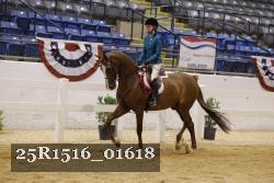 25R1516_01618 thumbnail