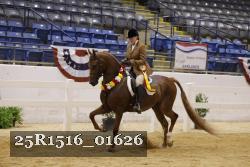 25R1516_01626 thumbnail