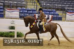 25R1516_01627 thumbnail