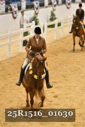 25R1516_01630 thumbnail