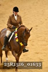 25R1516_01633 thumbnail
