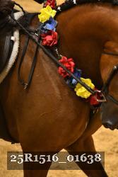 25R1516_01638 thumbnail