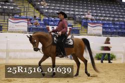 25R1516_01639 thumbnail