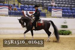 25R1516_01643 thumbnail