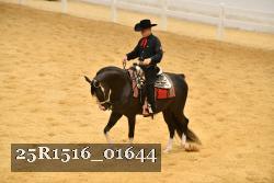 25R1516_01644 thumbnail