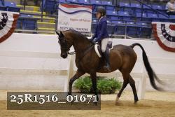 25R1516_01671 thumbnail