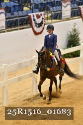 25R1516_01683 thumbnail