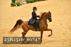 25R1516_01747 thumbnail