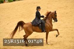 25R1516_01748 thumbnail