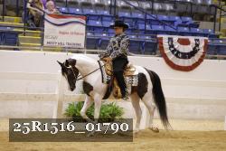 25R1516_01790 thumbnail