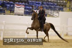 25R1516_01828 thumbnail