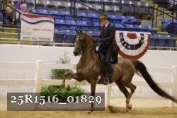 25R1516_01829 thumbnail