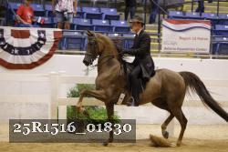 25R1516_01830 thumbnail