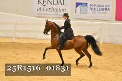 25R1516_01831 thumbnail
