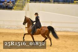 25R1516_01832 thumbnail