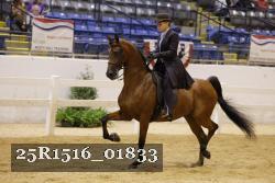 25R1516_01833 thumbnail
