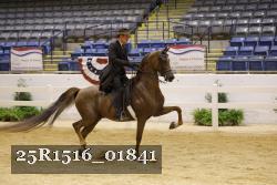 25R1516_01841 thumbnail