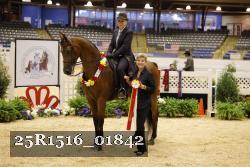 25R1516_01842 thumbnail
