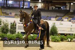 25R1516_01845 thumbnail