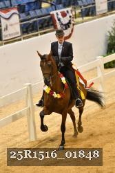 25R1516_01848 thumbnail