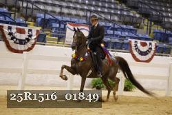 25R1516_01849 thumbnail
