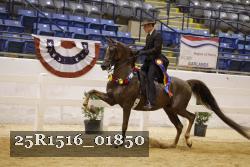 25R1516_01850 thumbnail