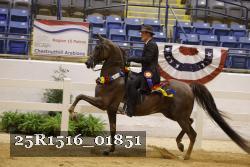 25R1516_01851 thumbnail