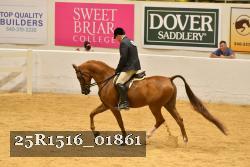 25R1516_01861 thumbnail