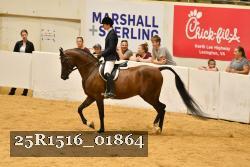 25R1516_01864 thumbnail