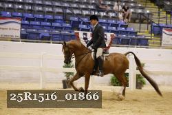 25R1516_01866 thumbnail