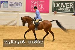 25R1516_01867 thumbnail