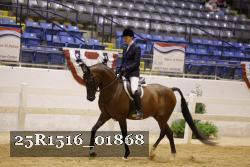 25R1516_01868 thumbnail