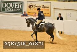 25R1516_01871 thumbnail