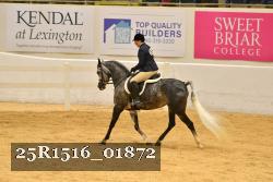 25R1516_01872 thumbnail