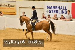 25R1516_01875 thumbnail
