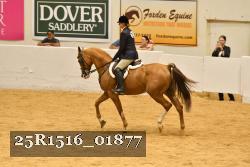 25R1516_01877 thumbnail