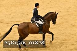 25R1516_01878 thumbnail