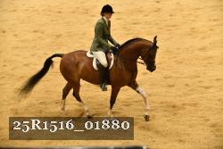 25R1516_01880 thumbnail