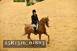 25R1516_01883 thumbnail