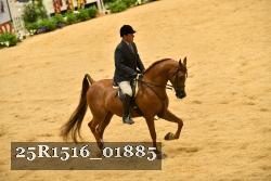 25R1516_01885 thumbnail