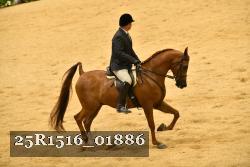 25R1516_01886 thumbnail
