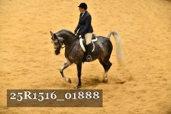 25R1516_01888 thumbnail